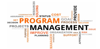 Program vs projekt